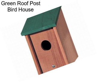 Green Roof Post Bird House