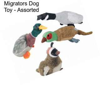 Migrators Dog Toy - Assorted