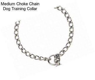 Medium Choke Chain Dog Training Collar