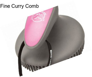 Fine Curry Comb