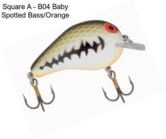 Square A - B04 Baby Spotted Bass/Orange