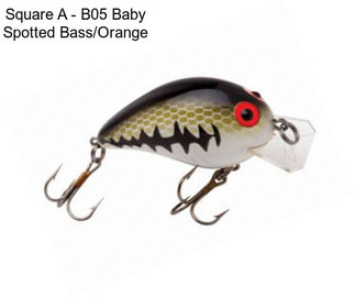 Square A - B05 Baby Spotted Bass/Orange