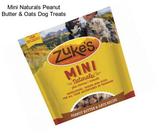 Mini Naturals Peanut Butter & Oats Dog Treats