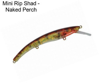 Mini Rip Shad - Naked Perch