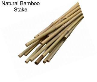 Natural Bamboo Stake