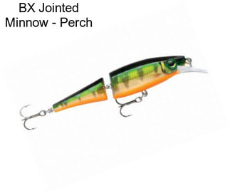 BX Jointed Minnow - Perch