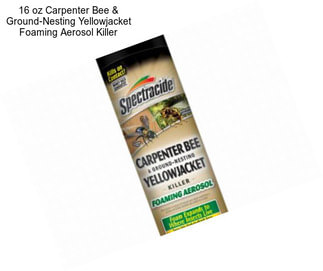 16 oz Carpenter Bee & Ground-Nesting Yellowjacket Foaming Aerosol Killer