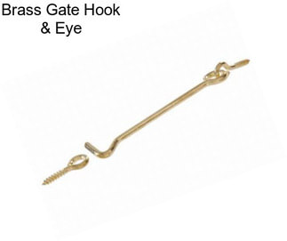 Brass Gate Hook & Eye