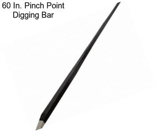 60 In. Pinch Point Digging Bar