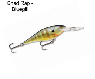 Shad Rap - Bluegill