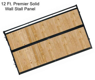 12 Ft. Premier Solid Wall Stall Panel