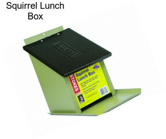 Squirrel Lunch Box