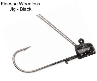 Finesse Weedless Jig - Black