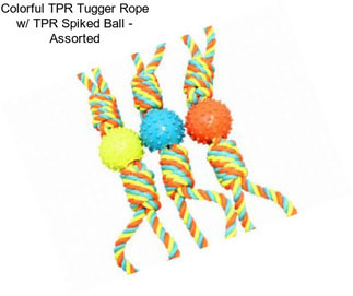 Colorful TPR Tugger Rope w/ TPR Spiked Ball - Assorted