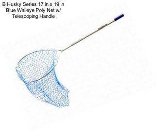 B Husky Series 17 in x 19 in Blue Walleye Poly Net w/ Telescoping Handle