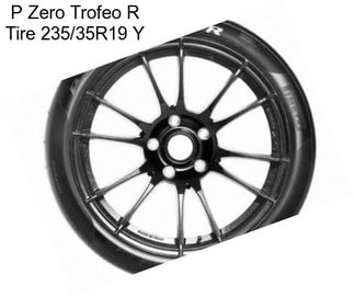 P Zero Trofeo R Tire 235/35R19 Y