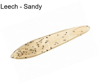 Leech - Sandy
