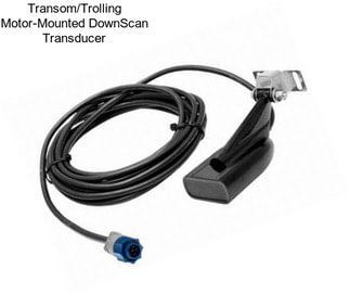 Transom/Trolling Motor-Mounted DownScan Transducer