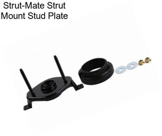 Strut-Mate Strut Mount Stud Plate