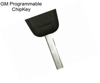 GM Programmable ChipKey