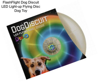 FlashFlight Dog Discuit LED Light-up Flying Disc Dog Toy