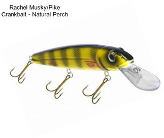 Rachel Musky/Pike Crankbait - Natural Perch