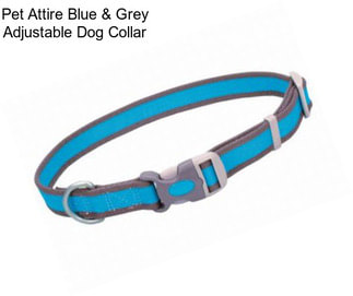 Pet Attire Blue & Grey Adjustable Dog Collar