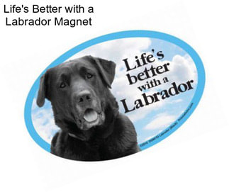 Life\'s Better with a Labrador Magnet