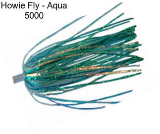 Howie Fly - Aqua 5000