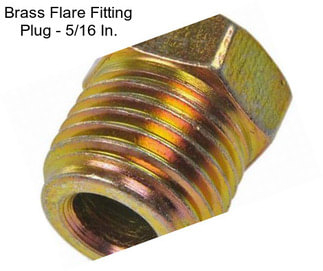 Brass Flare Fitting Plug - 5/16 In.