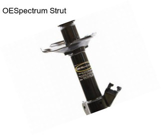 OESpectrum Strut