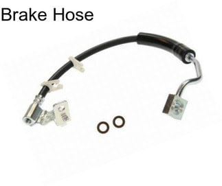 Brake Hose