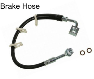 Brake Hose