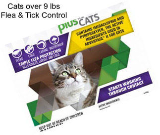 Cats over 9 lbs Flea & Tick Control
