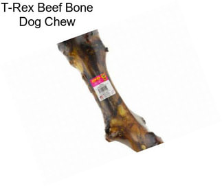 T-Rex Beef Bone Dog Chew