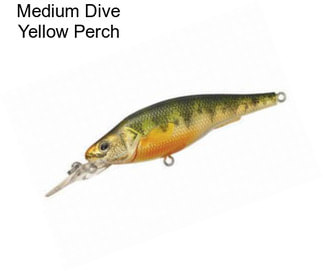Medium Dive Yellow Perch