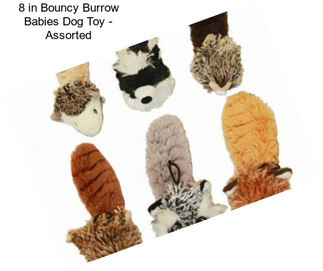 8 in Bouncy Burrow Babies Dog Toy - Assorted