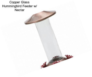 Copper Glass Hummingbird Feeder w/ Nectar