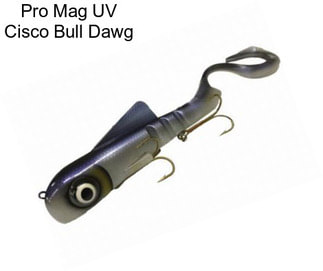 Pro Mag UV Cisco Bull Dawg