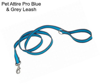 Pet Attire Pro Blue & Grey Leash