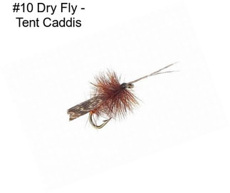 #10 Dry Fly - Tent Caddis