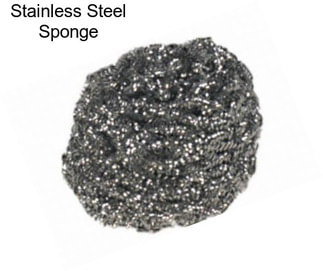 Stainless Steel Sponge