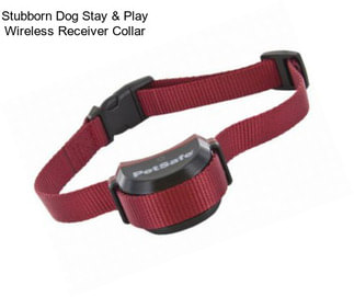 Stubborn Dog Stay & Play Wireless Receiver Collar