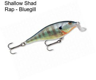 Shallow Shad Rap - Bluegill