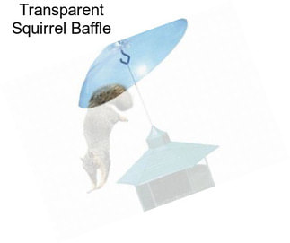 Transparent Squirrel Baffle