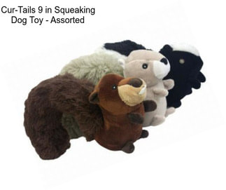 Cur-Tails 9 in Squeaking Dog Toy - Assorted