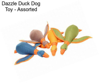 Dazzle Duck Dog Toy - Assorted