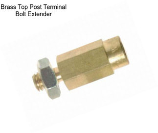 Brass Top Post Terminal Bolt Extender