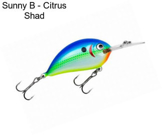 Sunny B - Citrus Shad