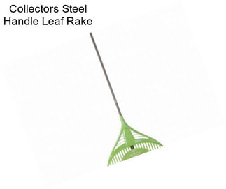 Collectors Steel Handle Leaf Rake